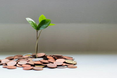 Кредиторы подали в суд можно ли проходить процедуру банкротства